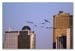1 canadageeseofficetowersdscf3929-4kx3k